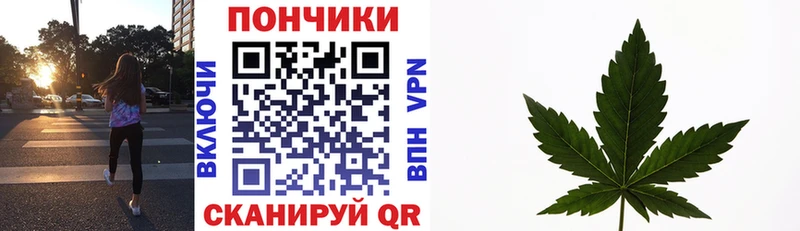 Купить закладку Питкяранта ГАШ A-PVP Cocaine АМФ Каннабис Меф мяу мяу