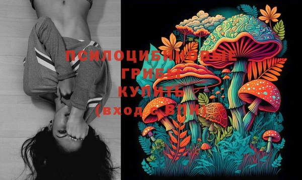 дурь Абаза
