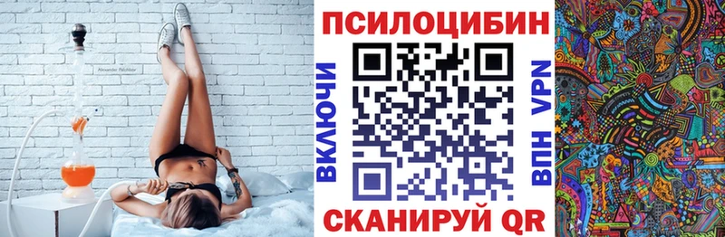 Псилоцибиновые грибы мицелий  МЕГА ТОР  Питкяранта  где можно купить наркотик 